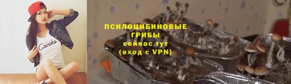 2c-b Карпинск