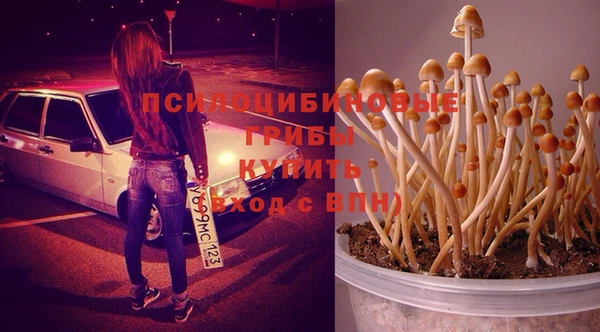 соль курить ск Касимов