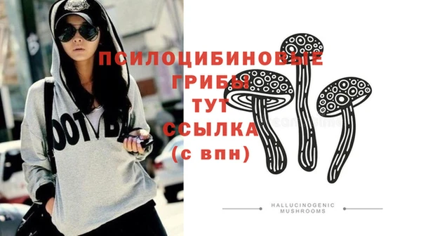 соль курить ск Касимов